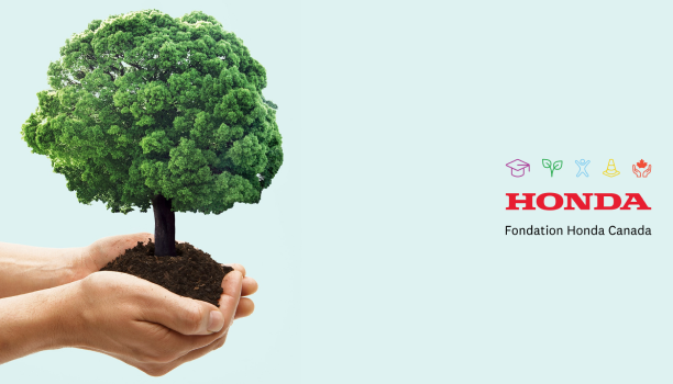 Des mains tenant de la terre d’où sort un petit arbre. 